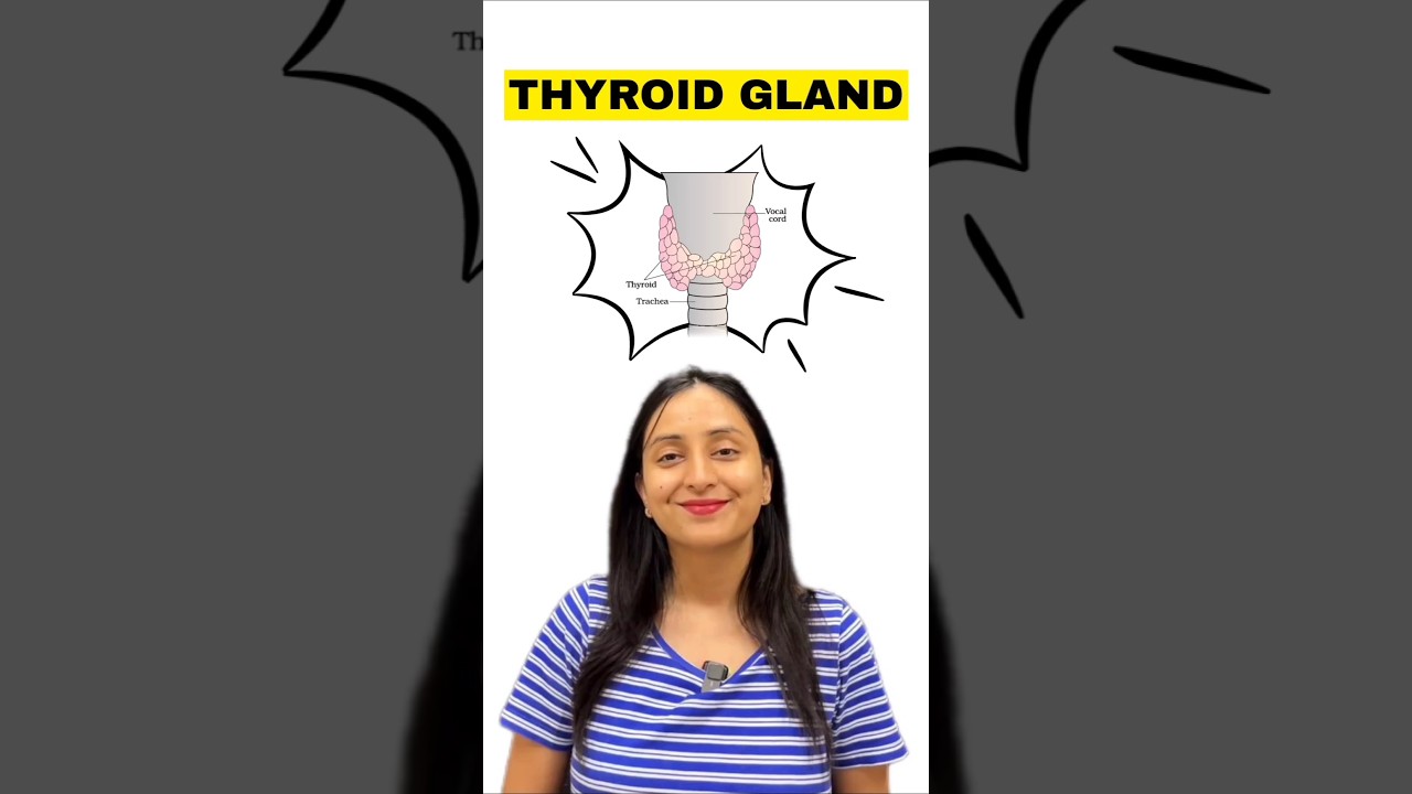 Thyroid Gland Functions, Disorders and Hormonal Regulation