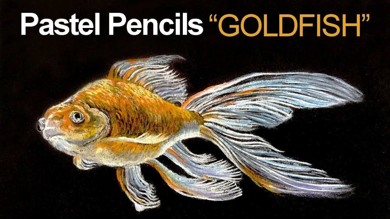Goldfish Pastel Drawing on Black Paper: Step-by-Step Tutorial