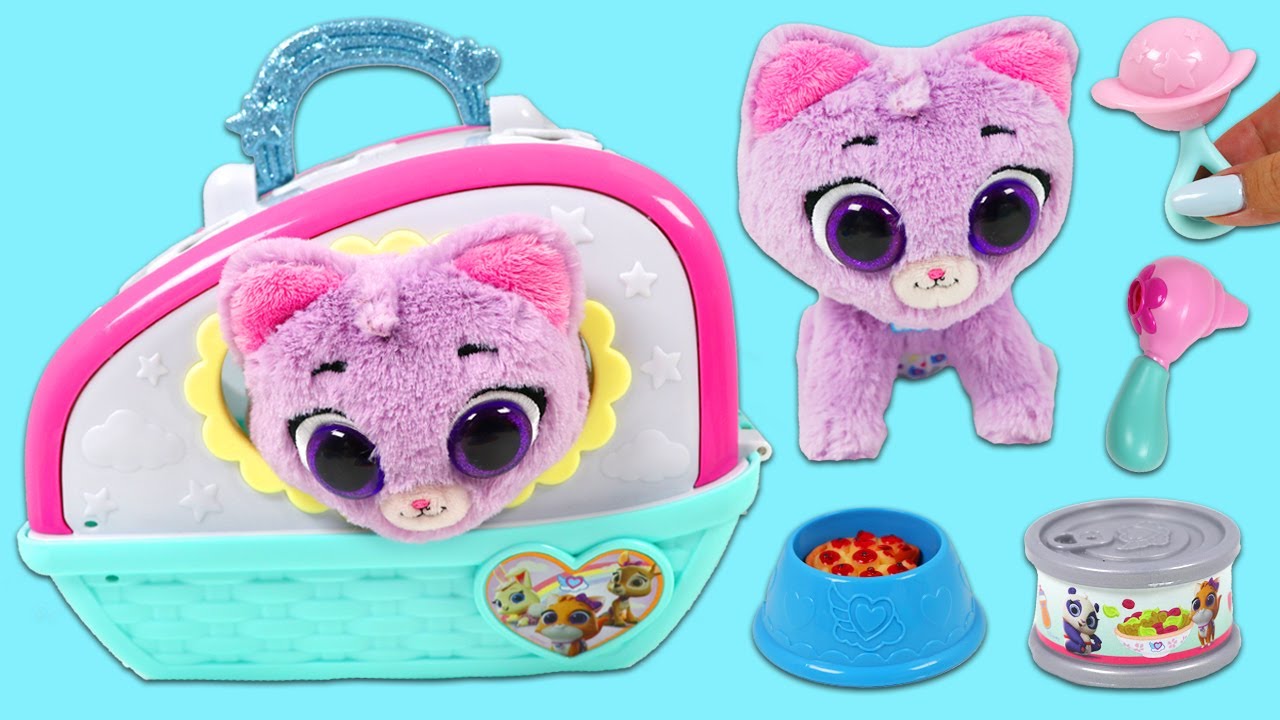 New Kitten Care Checklist: Essential Steps for Pet Owners