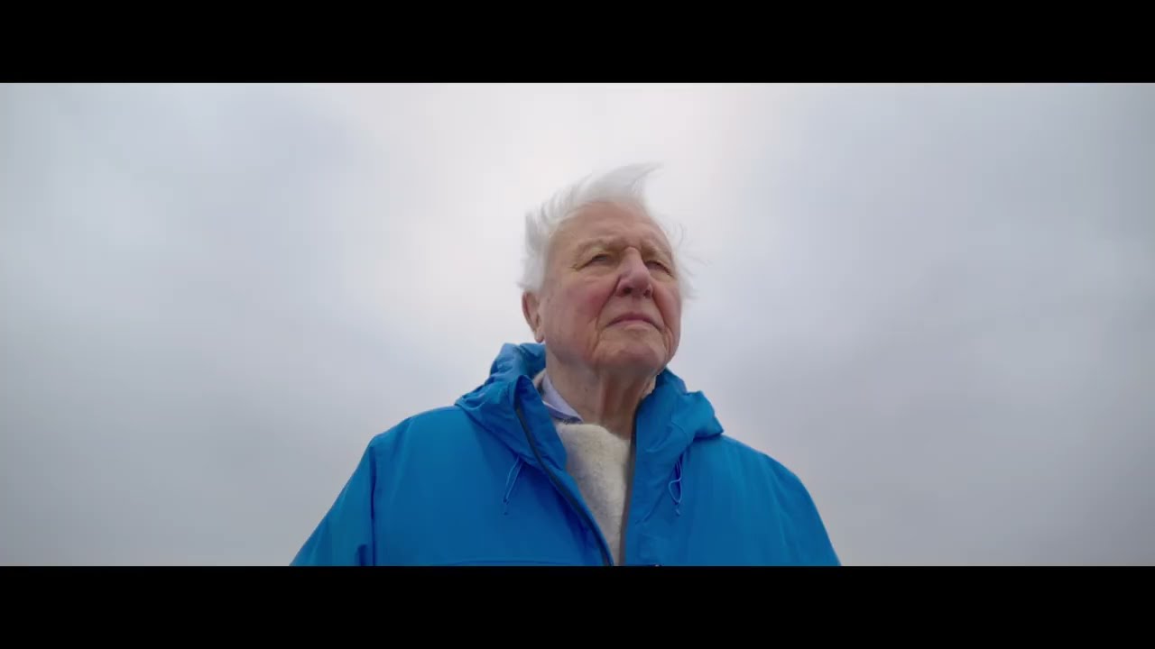 Save Our Oceans to Save Our Planet: Why the Sea Matters Most