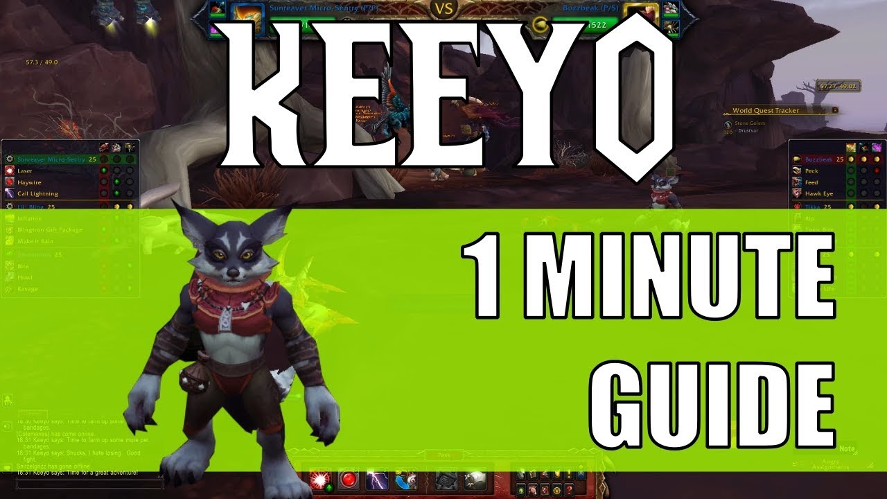 How to Defeat K'oru in Pet Battles: 1-Minute Strategy Guide