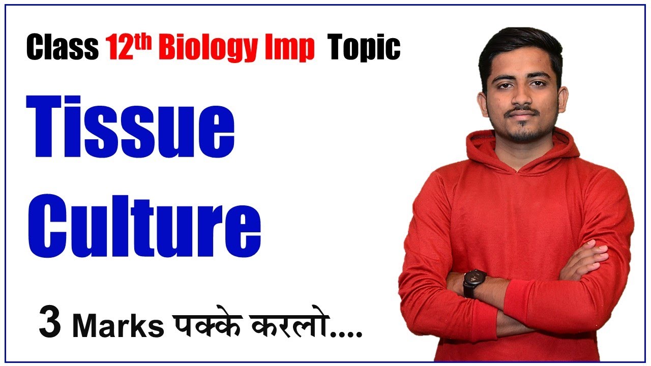 Plant Tissue Culture Steps Explained for Exam Success