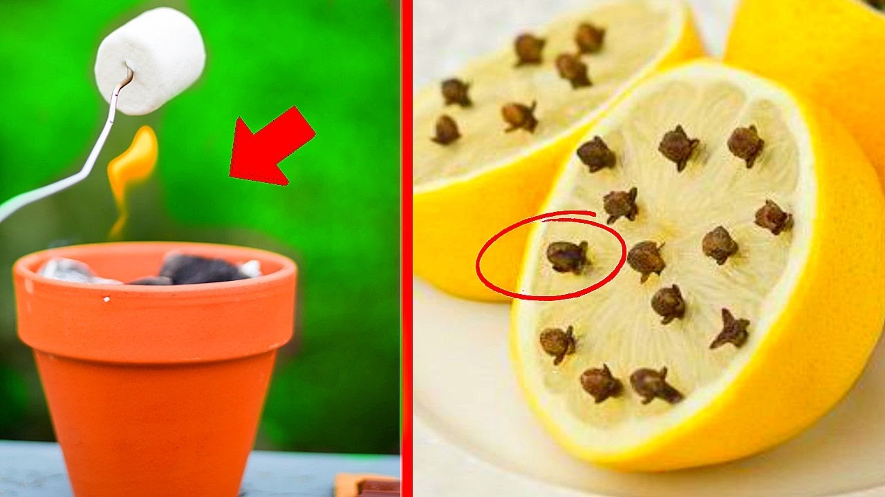 5 Easy Summer DIY Projects for Fun & Relaxation