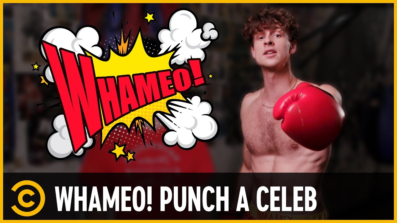 Whameo Parody Explained: Satire on Celebrity Revenge Culture