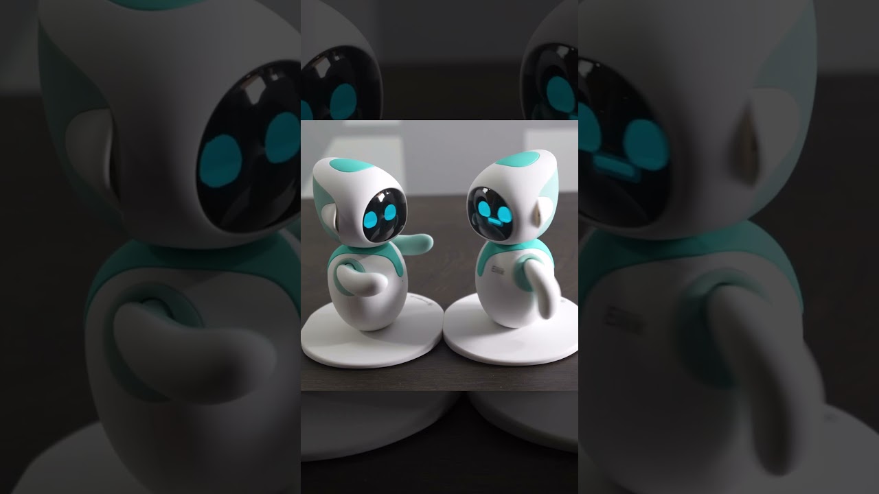 Interactive Pet Toy Review: Belly Press & Play Reactions