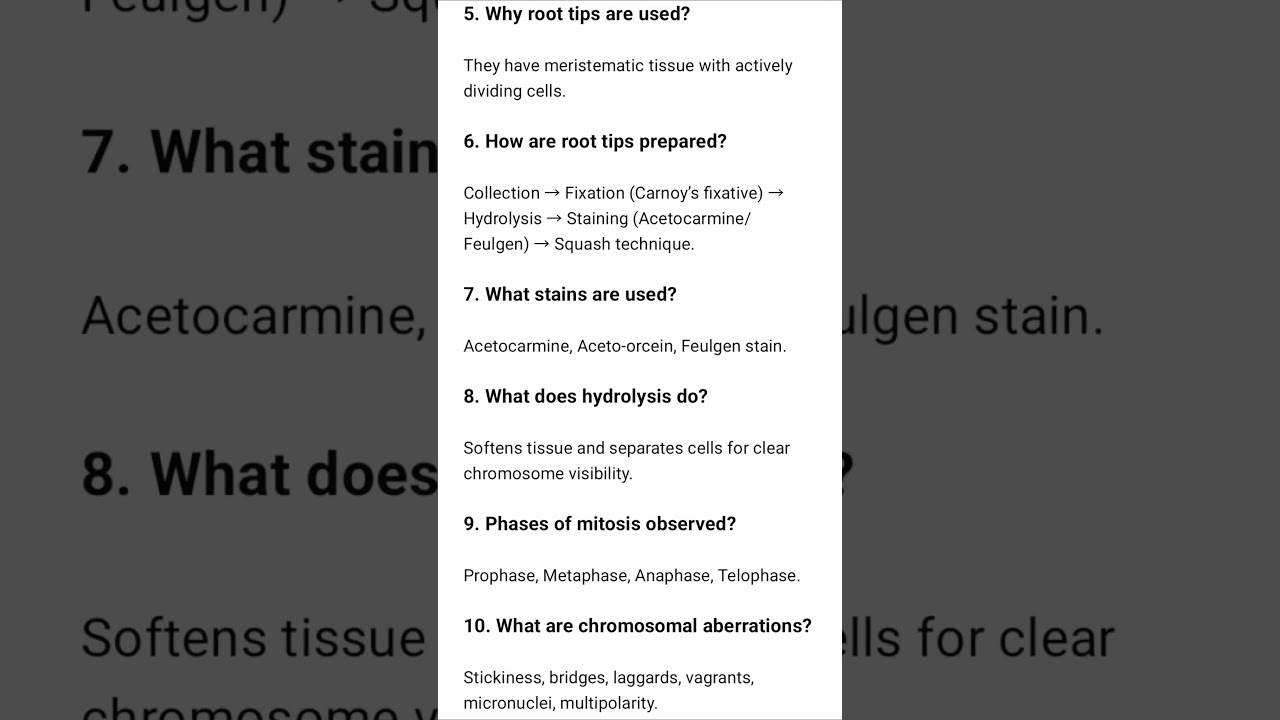 Allium Bioassay: Onion Root Toxicity Testing Explained