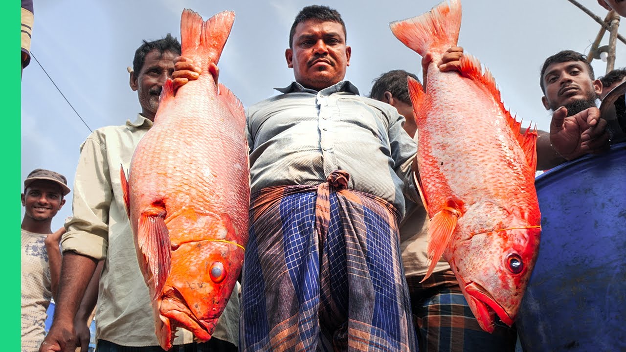 Bangladesh Street Food Guide: Chittagong Fish Market Secrets