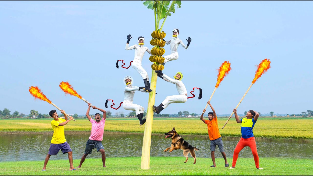 How to Handle Invalid Video Transcripts: Practical Guide