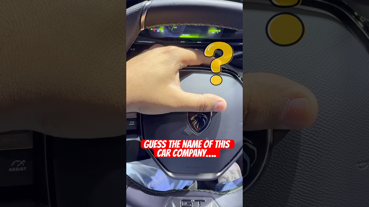 PGO Lion Logo Design Critique: Aggressive Branding Explained