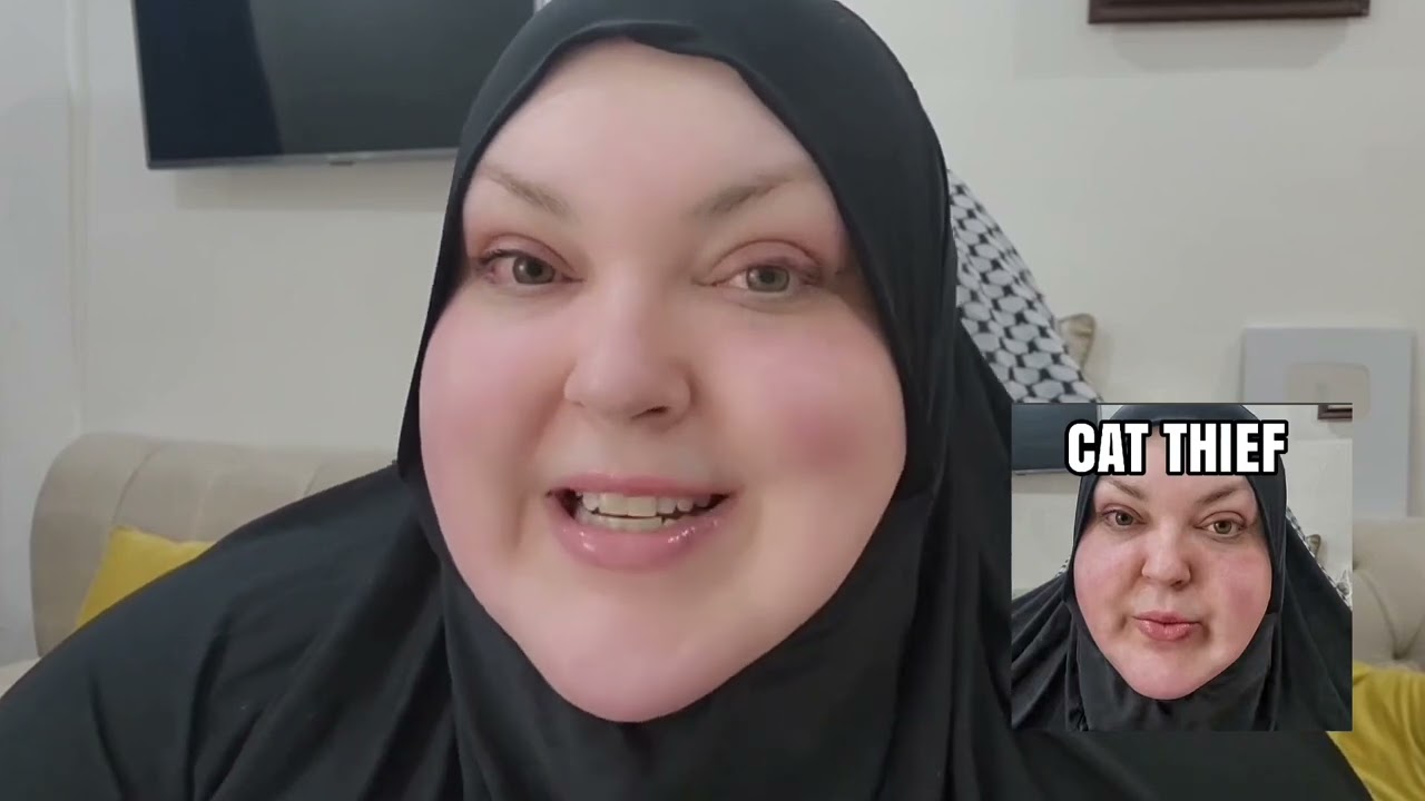 Kuwait Stray Cat Rescue Laws: Ethical Guide & Legal Risks