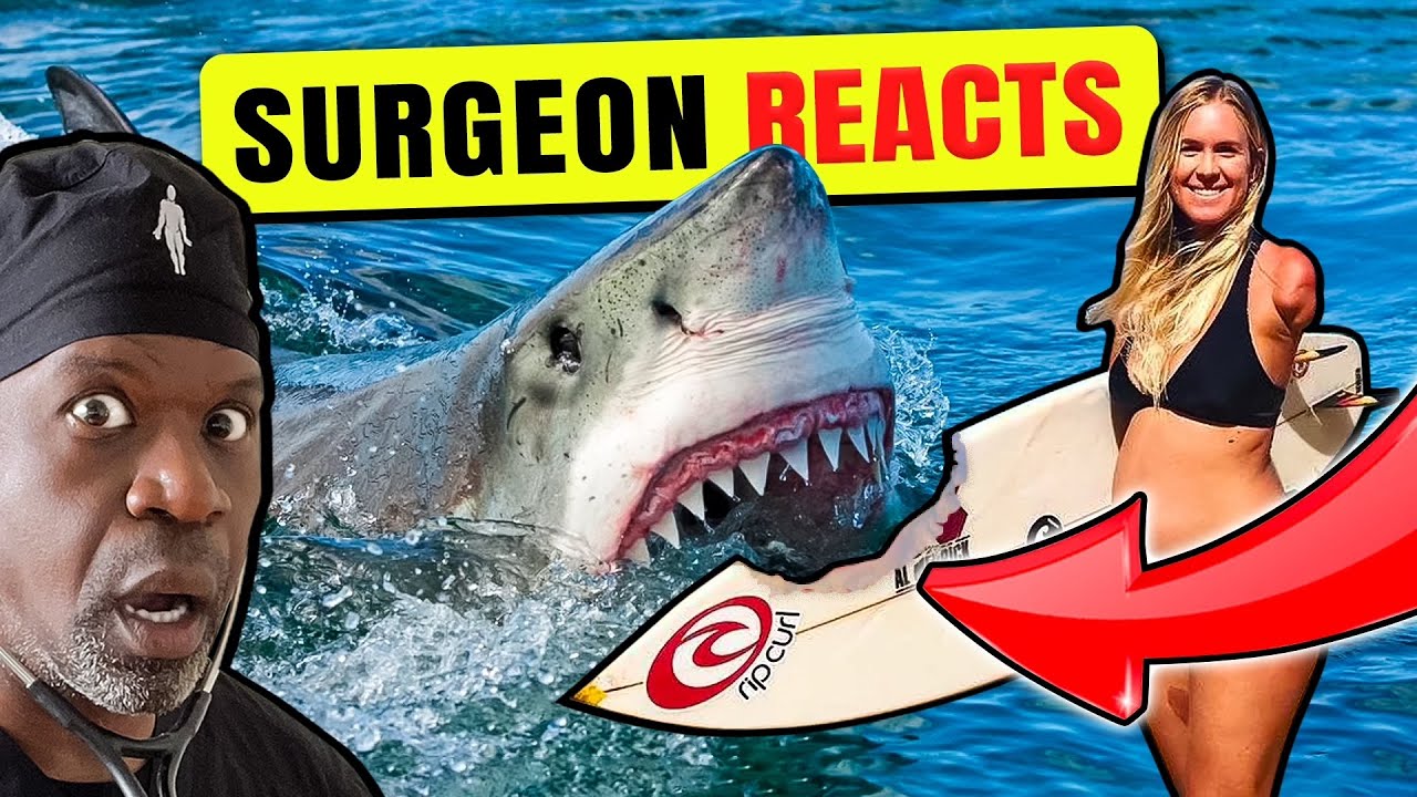 How Bethany Hamilton Survived a Shark Attack: Anatomy of Resilience