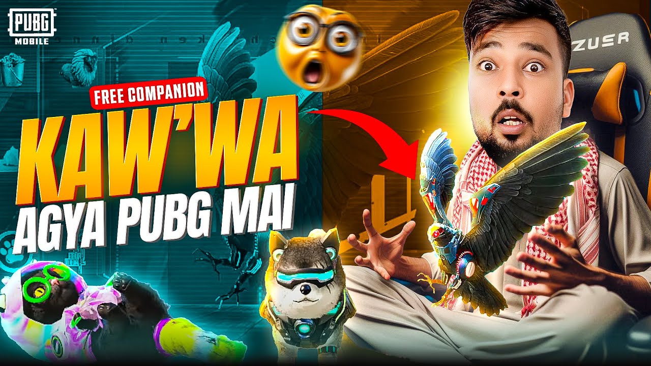 PUBG Kawa Crate Rewards: Drop Rates & Opening Results