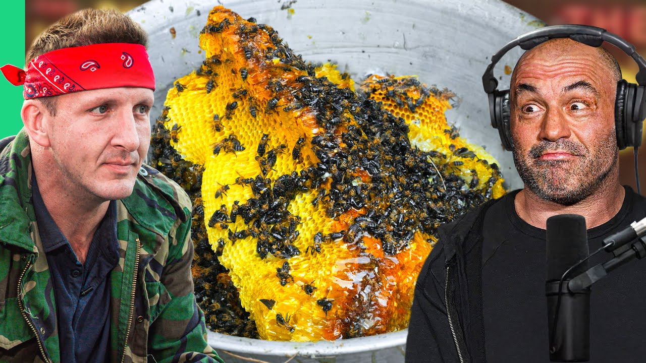 Nepal's Deadly Mad Honey Hunt Explained