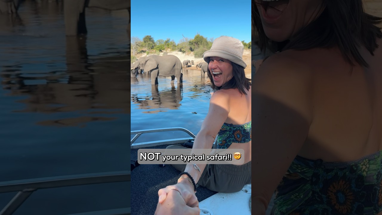 Luxury Chobe River Safari: Ultimate Wildlife Experience Guide