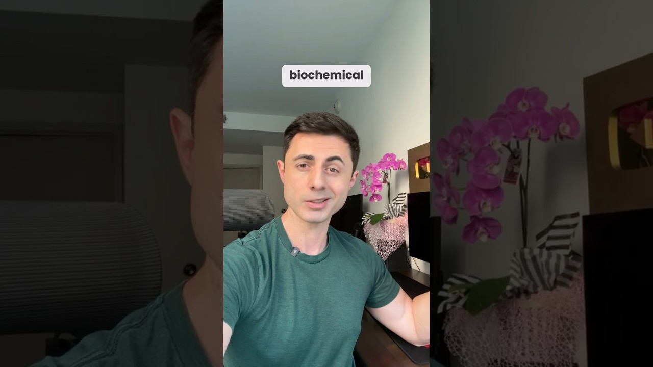 Plant Carbon Capture Breakthrough: How Scientists Boosted CO2 Absorption