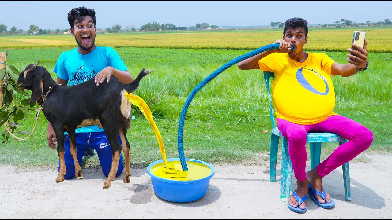 Unable to Generate Article - Transcript Analysis Required