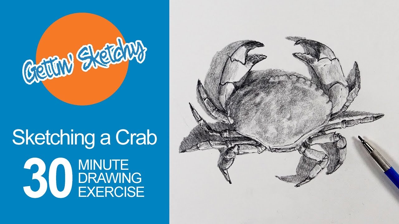 Quick Crab Sketch Tutorial: Boost Drawing Speed & Skill