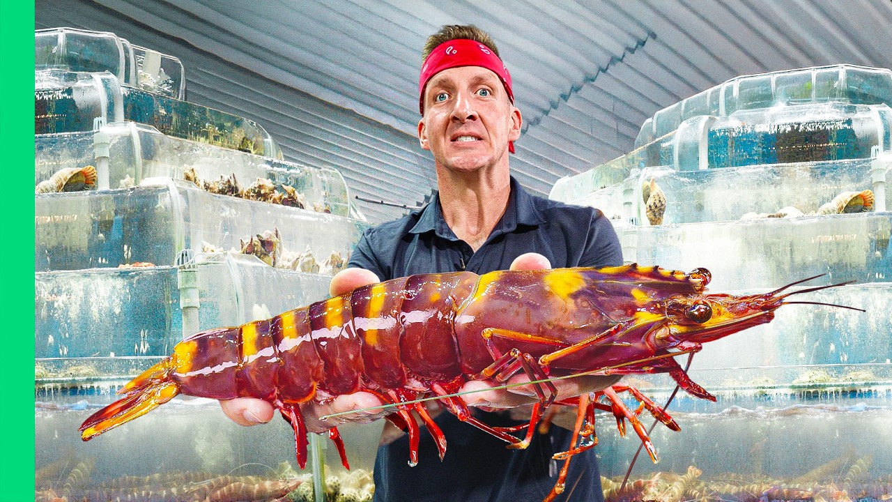 8 Asian Shrimp Species: From Street Food to Luxury