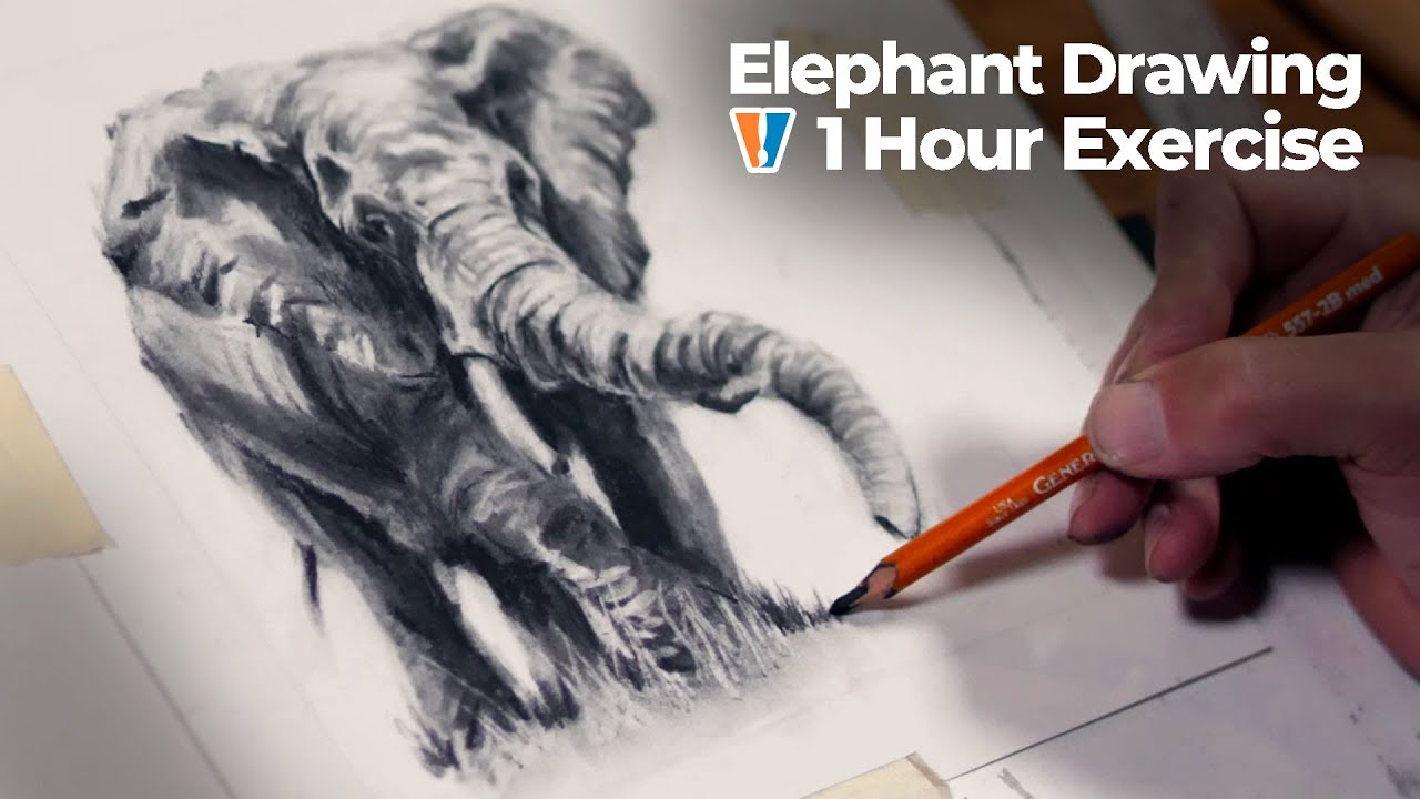Master Charcoal Elephant Sketching in 1 Hour: Step-by-Step Guide