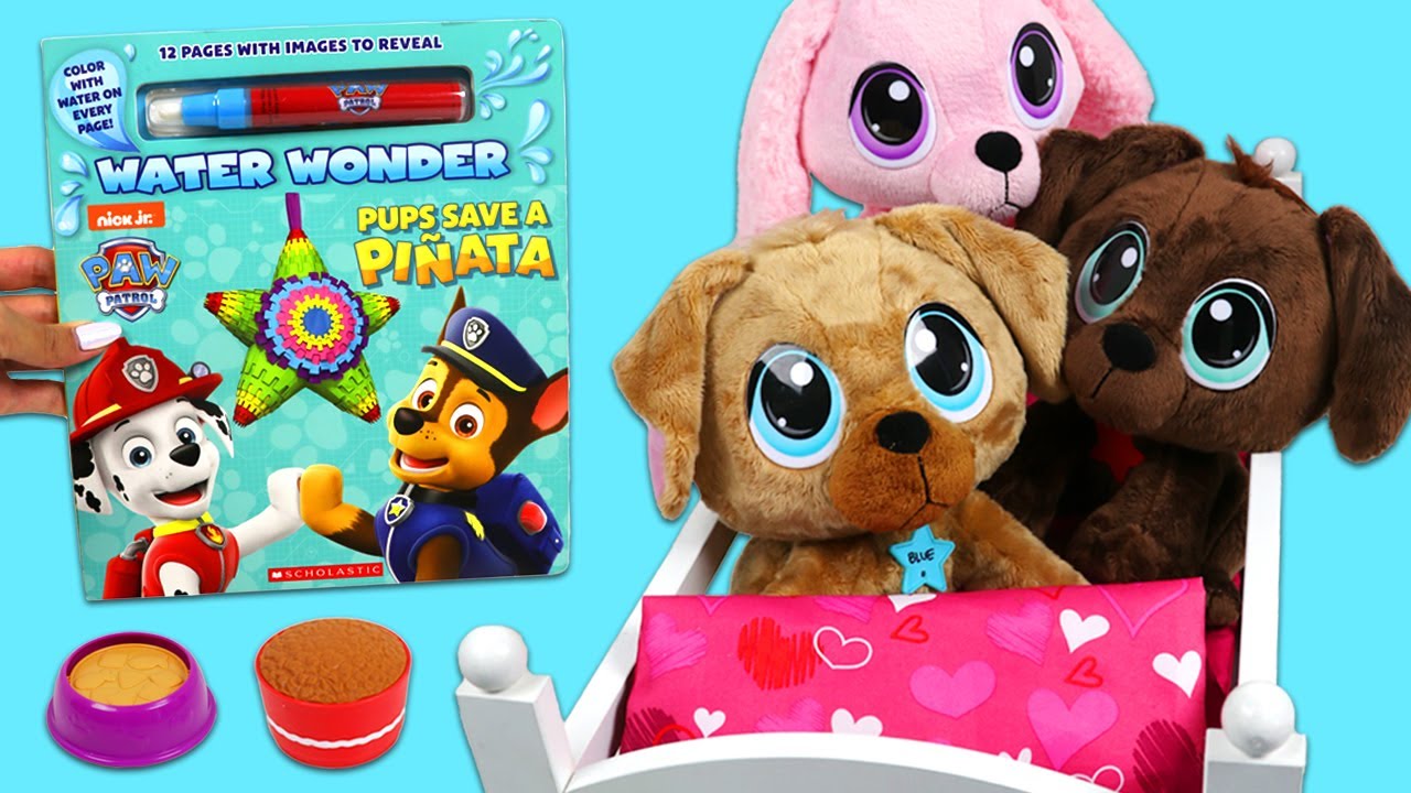 Essential New Puppy Care Guide: Expert Tips for First-Time Owners