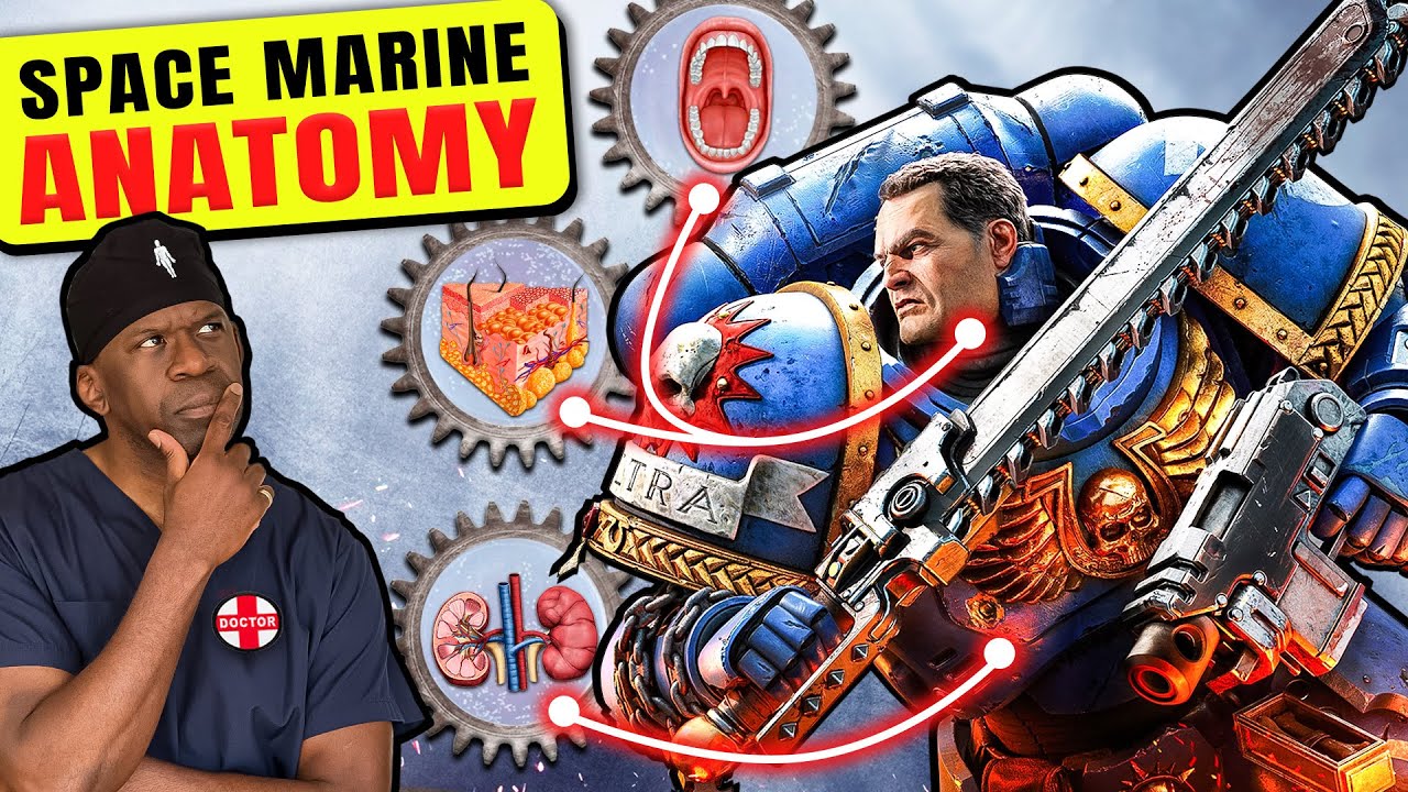 Space Marine Organs: Scientific Feasibility Analysis