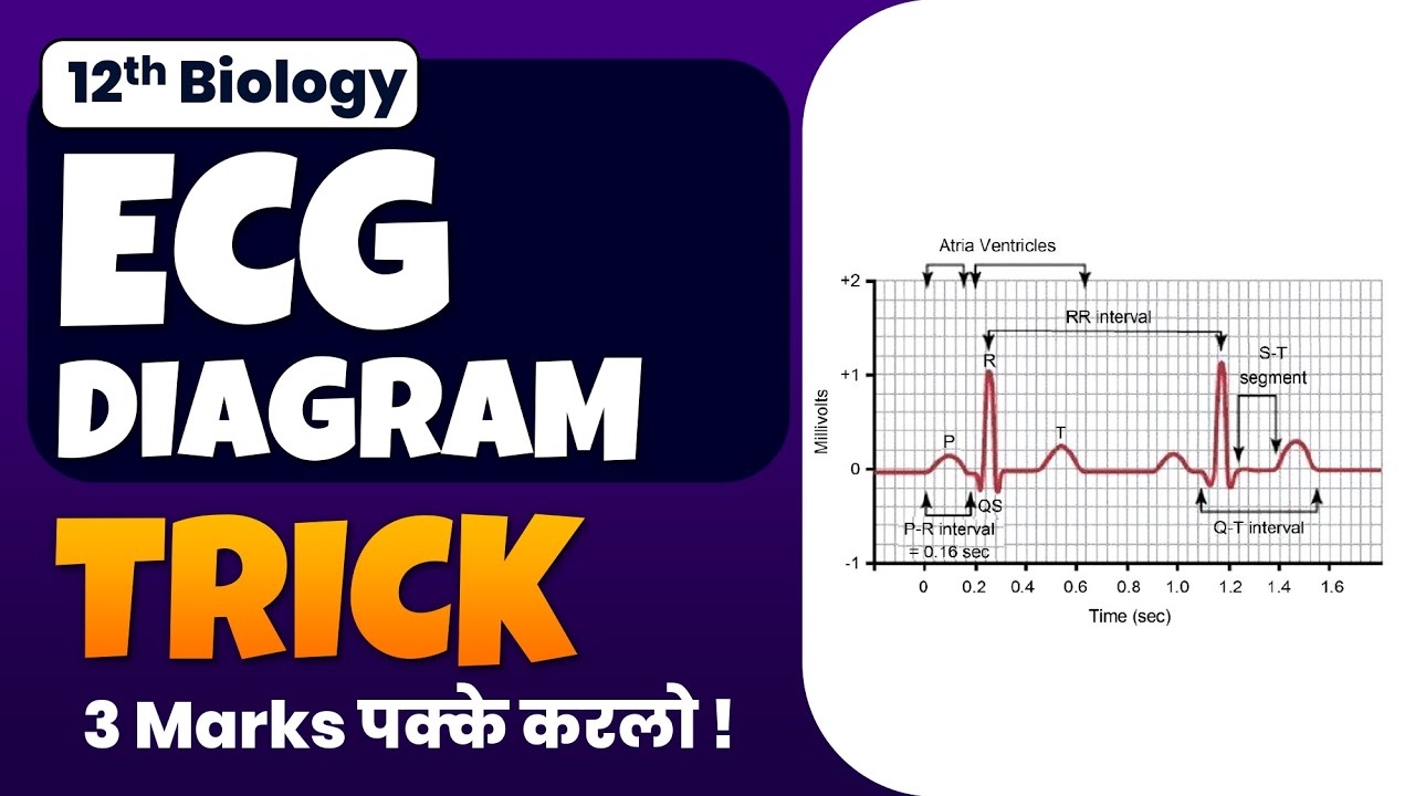 ECG Wave Memorization Trick: Never Confuse PQRST Again