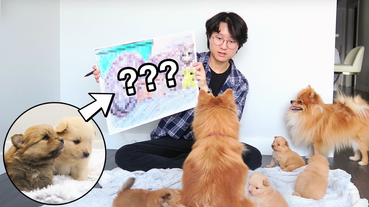 Sketching Moving Pets: An Artist's Survival Guide