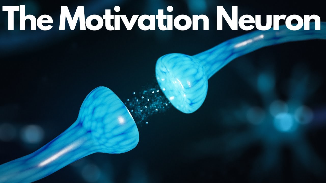 Slacker vs Go-Getter: Brain Science Reveals Motivation Secrets