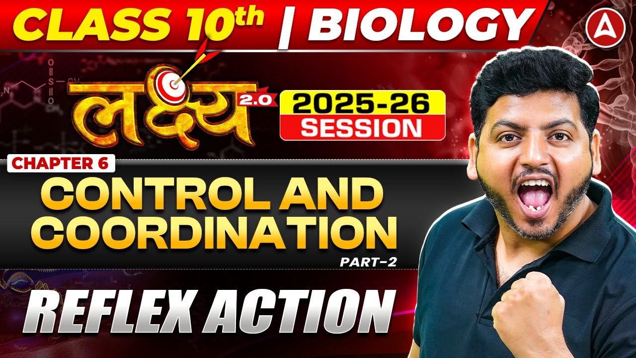 Reflex Actions Explained: Biology's Survival Mechanism