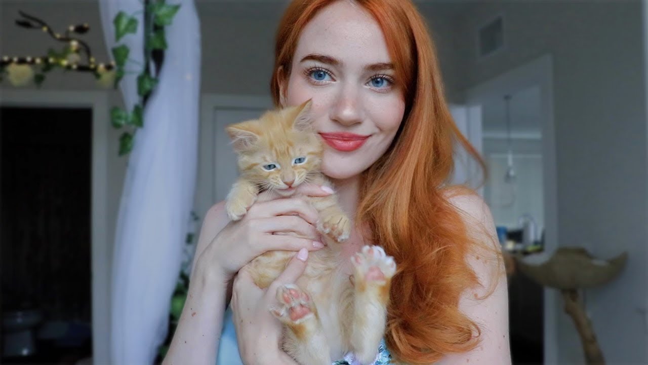 How to Introduce a New Kitten to Your Cat: Proven Steps