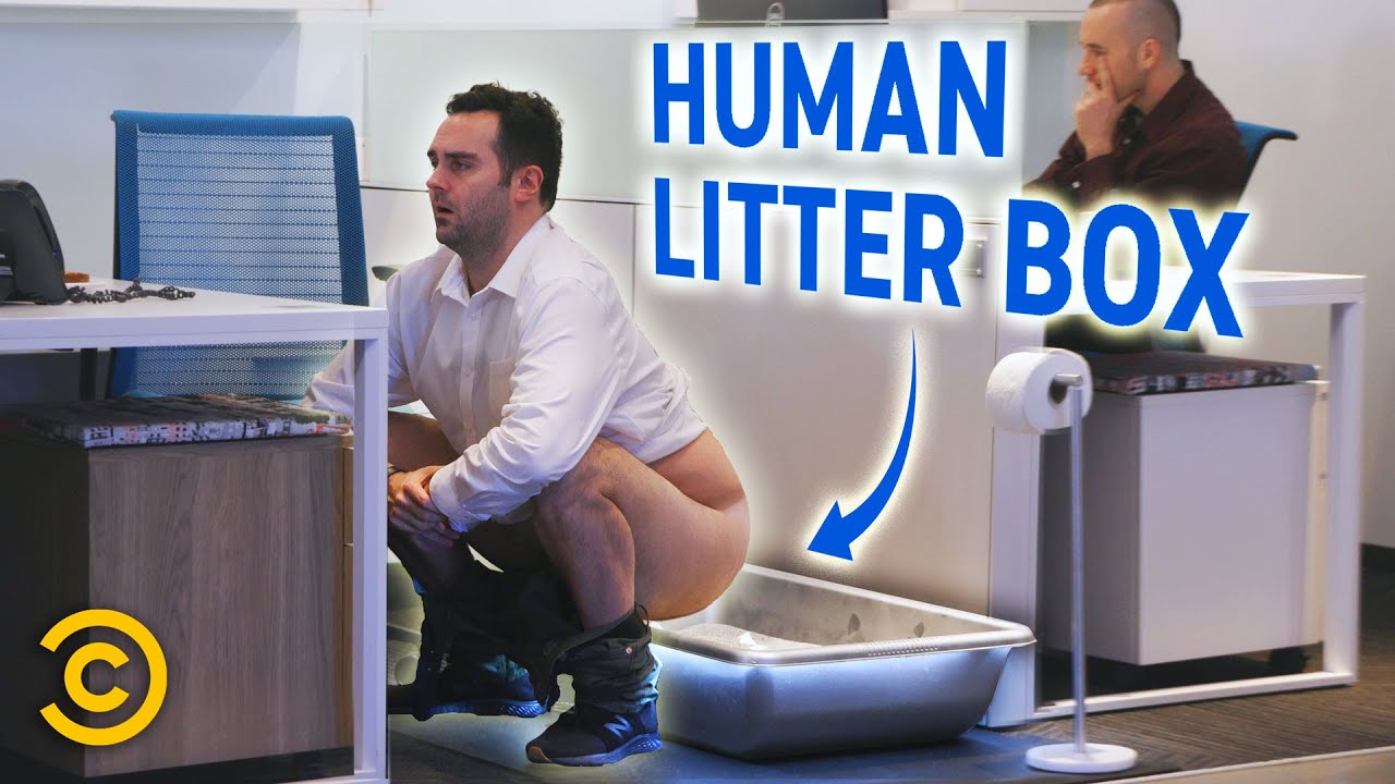 Human Litter Box: Satirical Take on Workplace Waste Solutions
