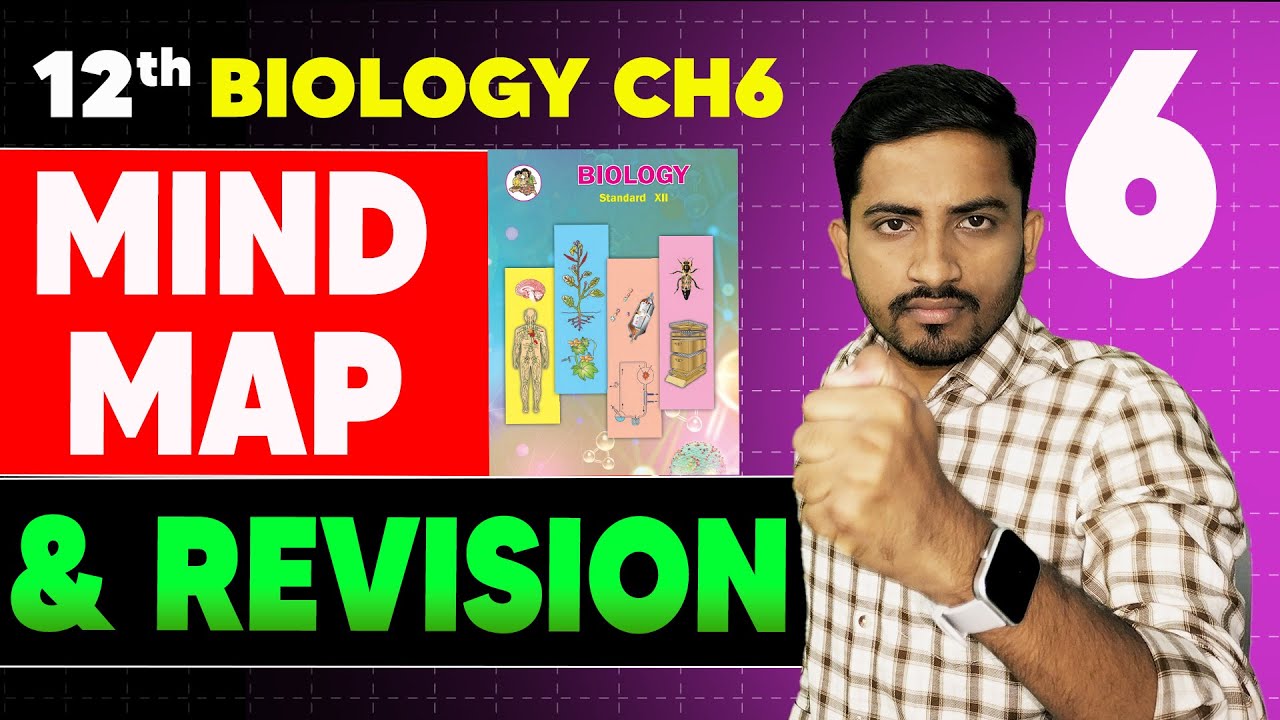 Plant Water Relations: Absorption, Transport & Mechanisms Explained