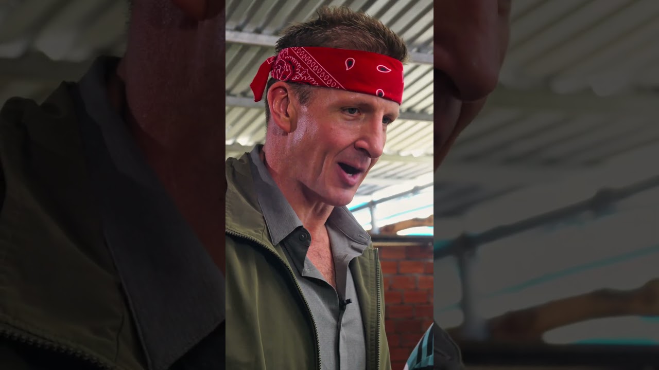 Cobra Handling Safety and Farming Insights from Vietnam Experts