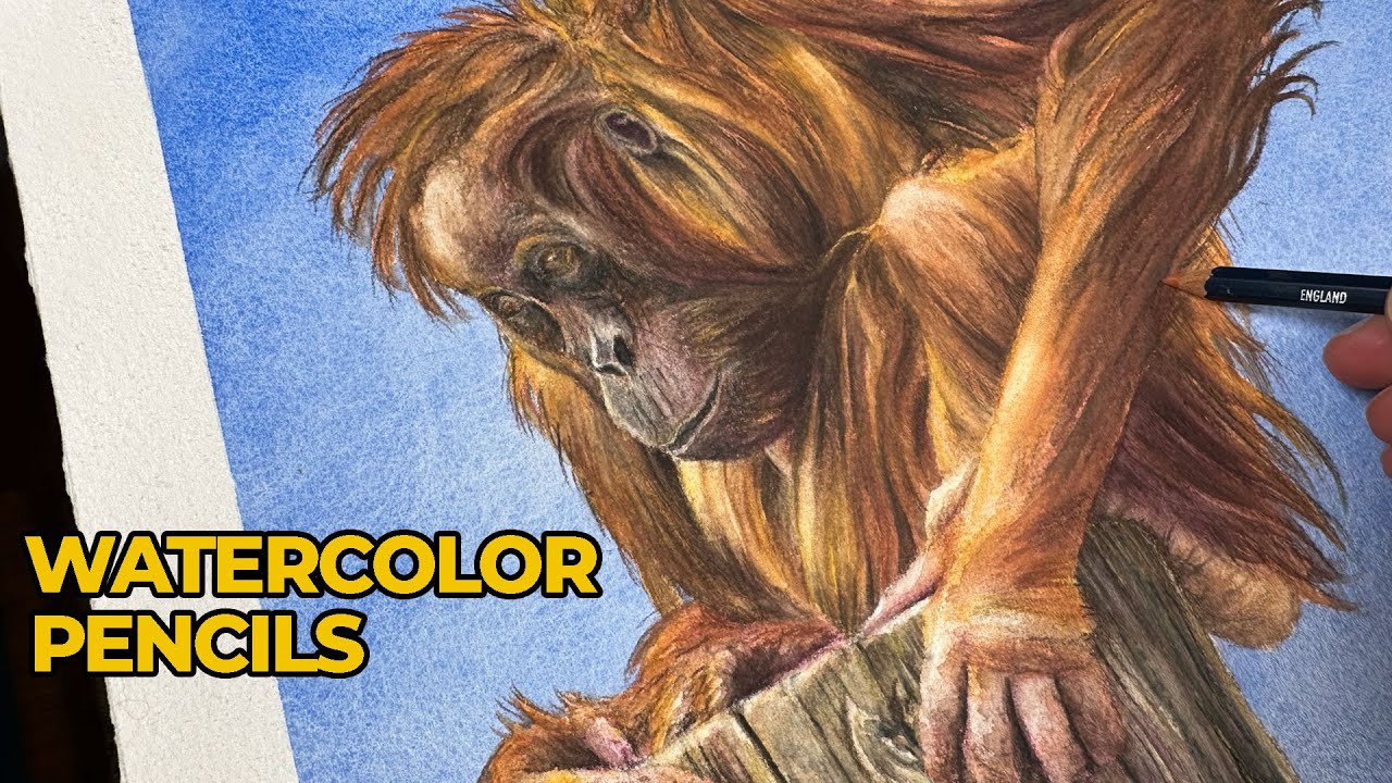 Master Watercolor Pencil Techniques: Orangutan Art Tutorial