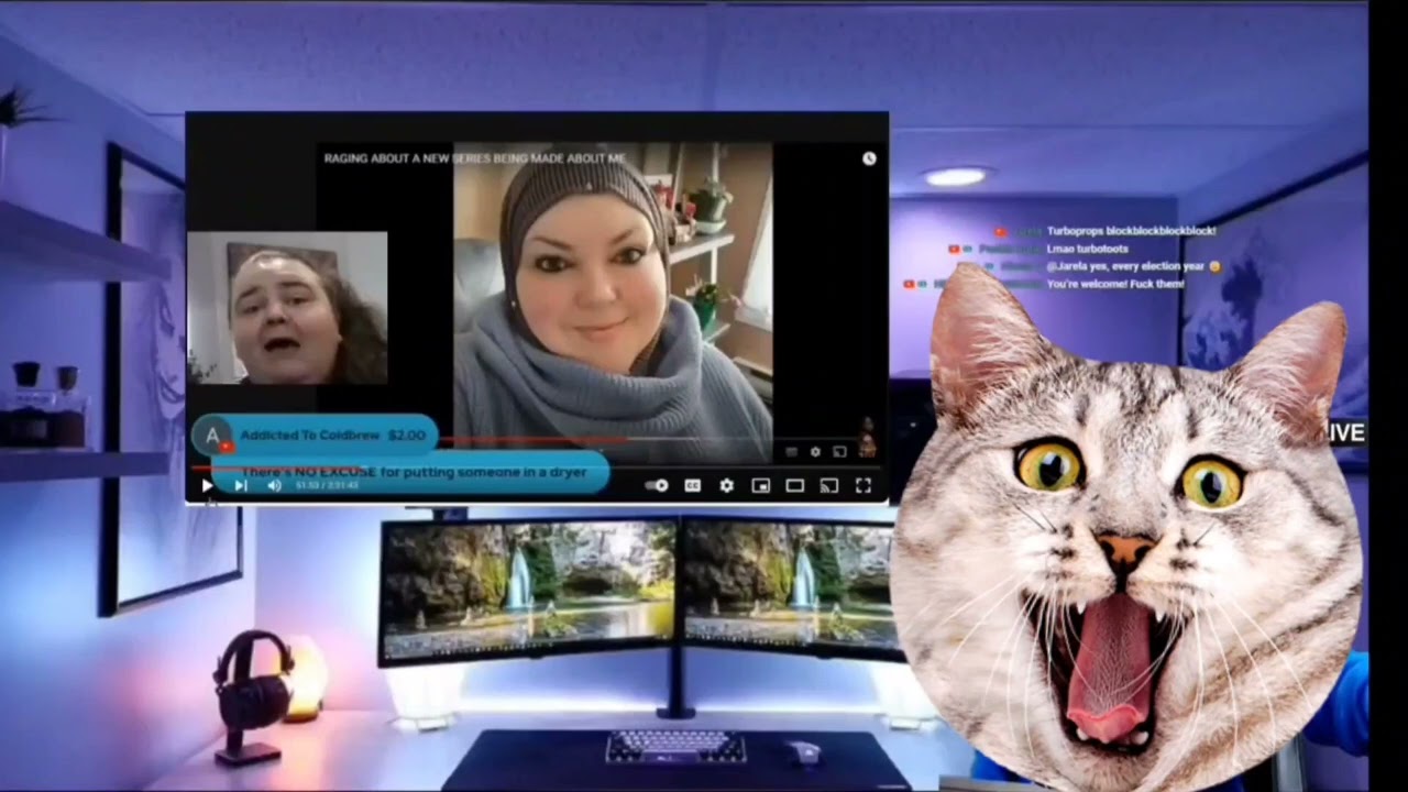 Foody Beauty DV Claims: Evidence vs. Contradictions