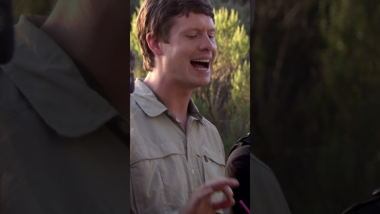 How to Diagnose Why Your Car Won't Start: Expert Troubleshooting Guide