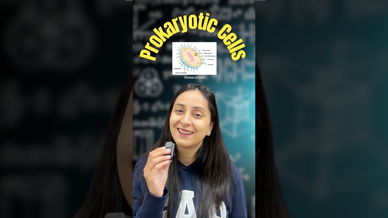 Prokaryotic Cells Explained: NCERT Biology Essentials