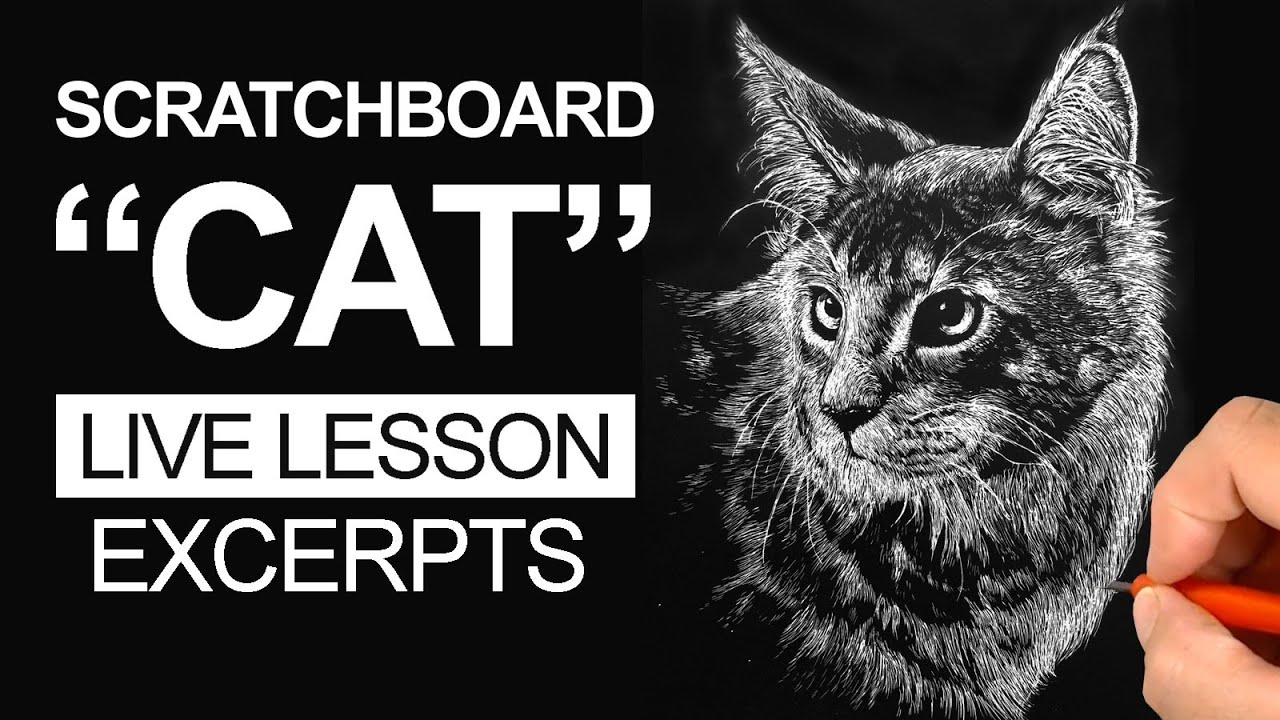 Master Scratchboard Cat Fur: Realistic Texture Techniques