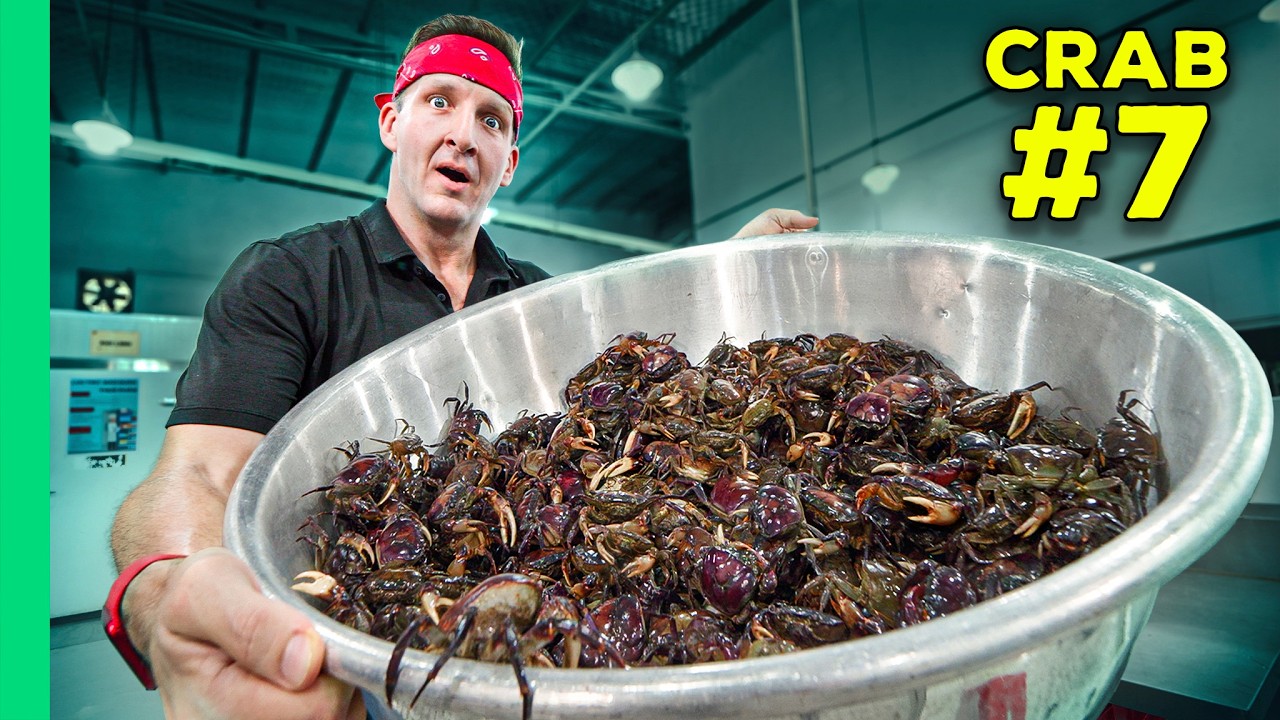 Edible Crab Species Guide: From Rice Fields to King Crabs