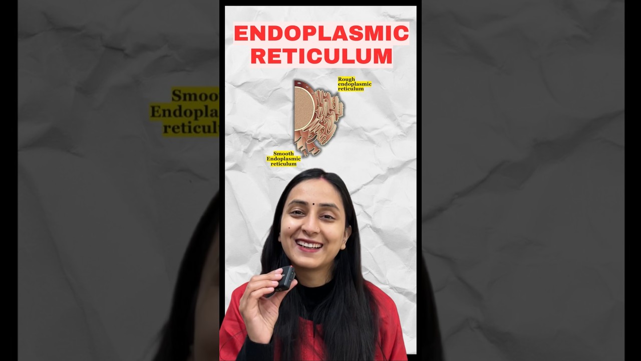 RER vs SER: Key Differences in Endoplasmic Reticulum Structure & Function
