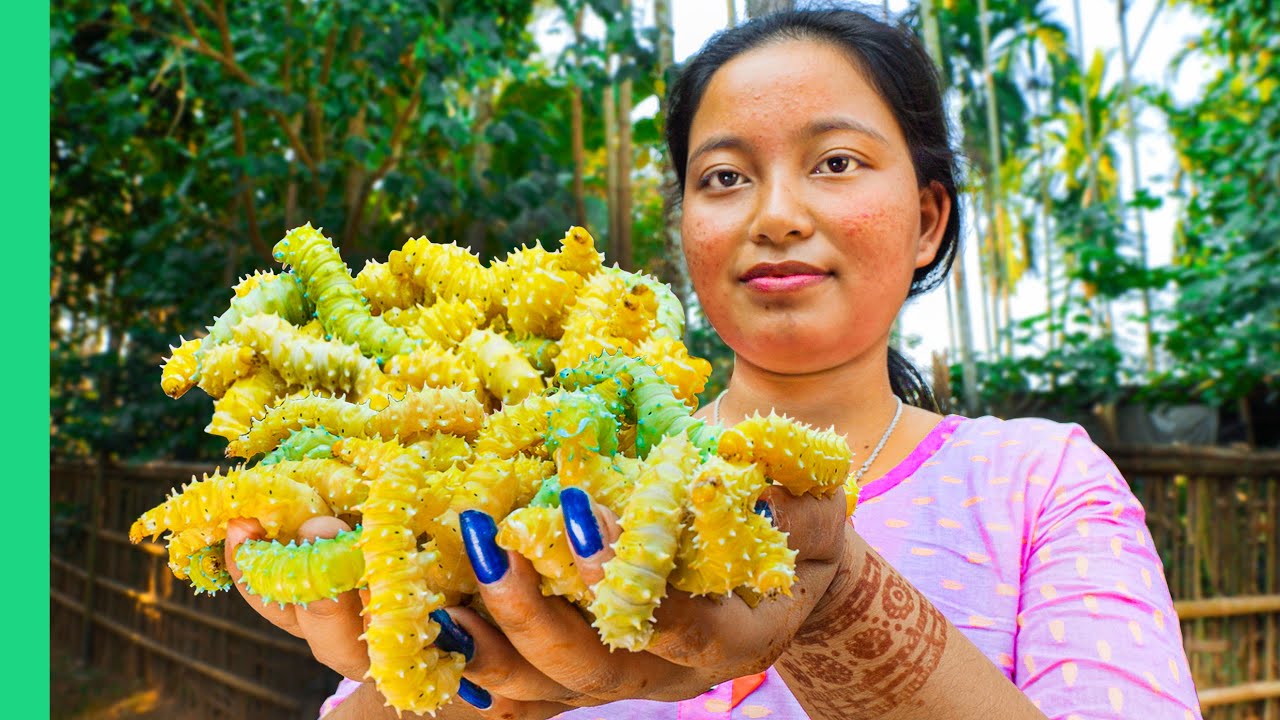 Assam's Insect Cuisine: Sustainable Protein & Cultural Tradition