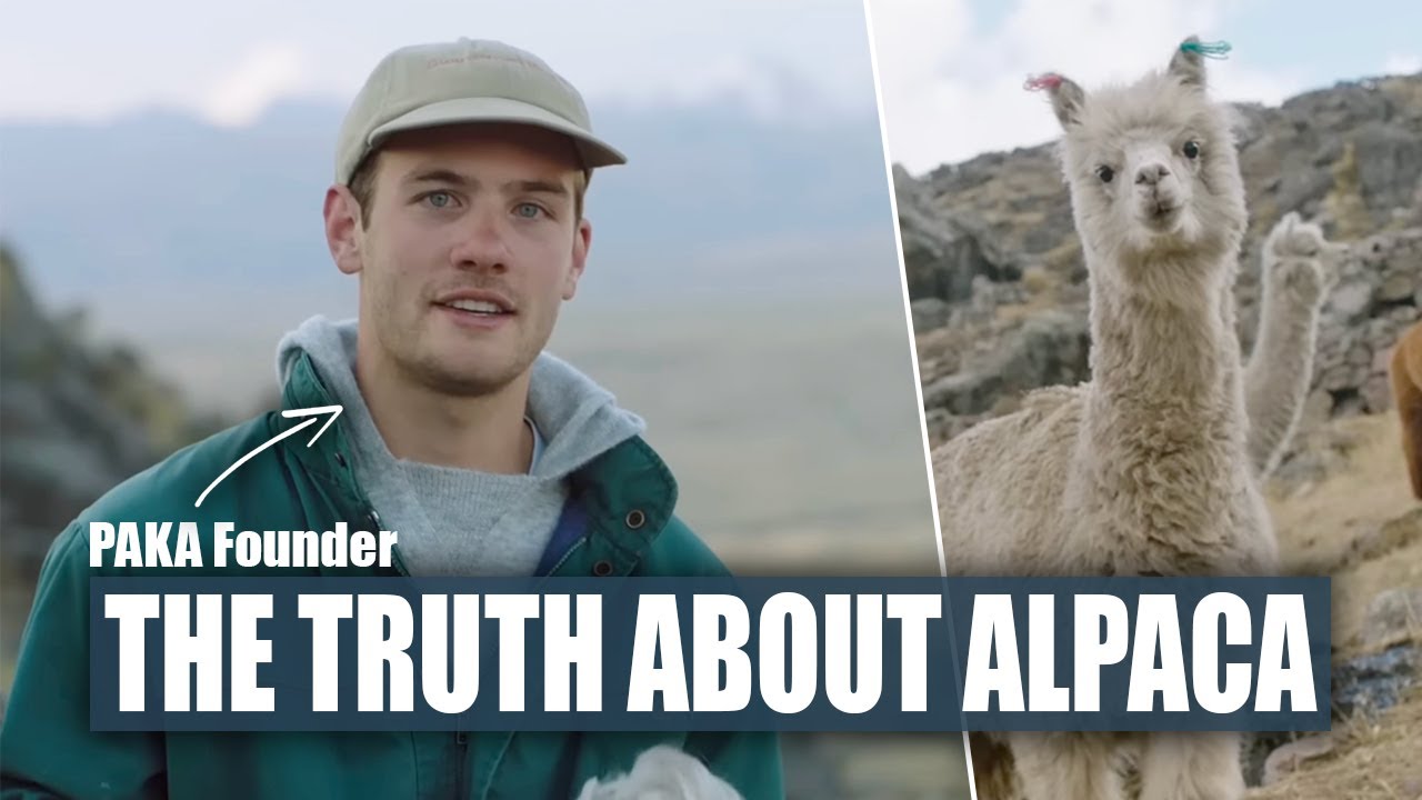 Sustainable Alpaca Outdoor Apparel: Performance & Ethics Explained