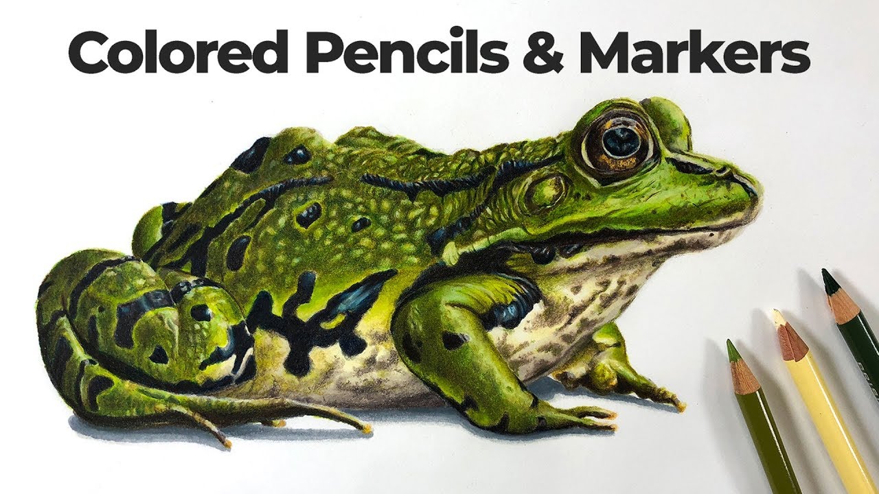 Master Realistic Frog Drawing with Alcohol Markers and Colored Pencils