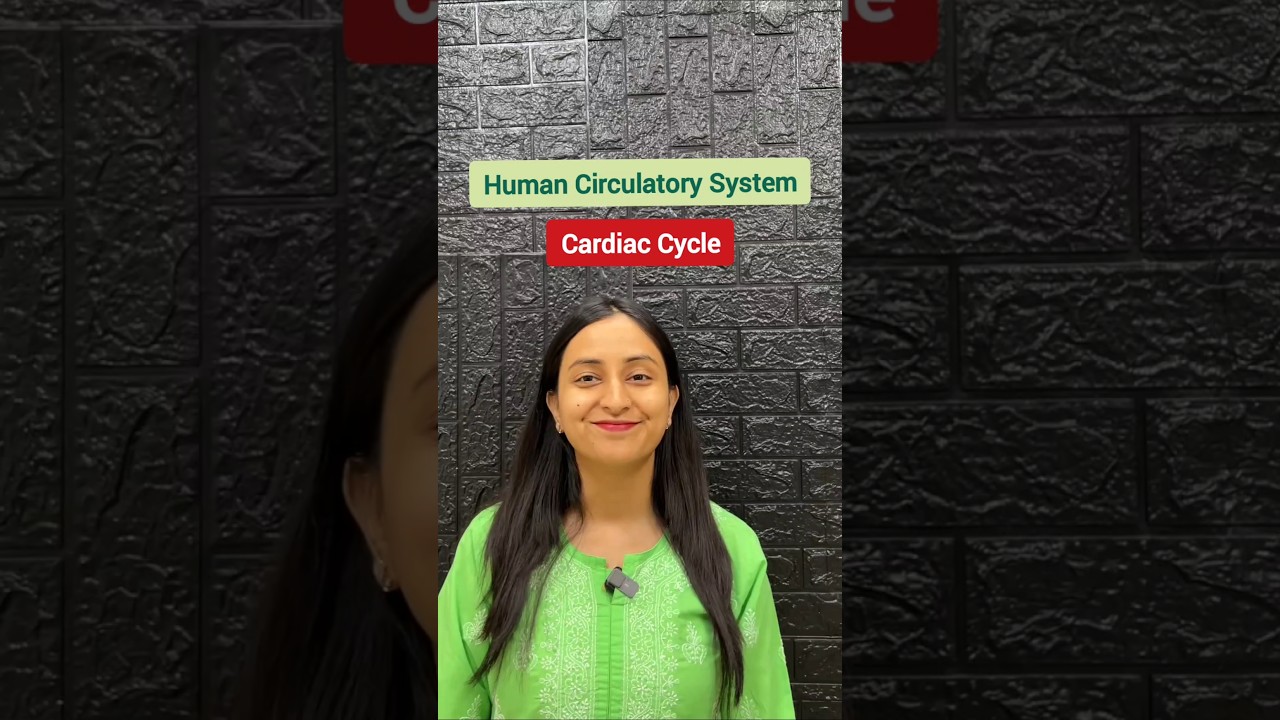 Cardiac Cycle Stages Explained: NCERT Focus for Medical Students