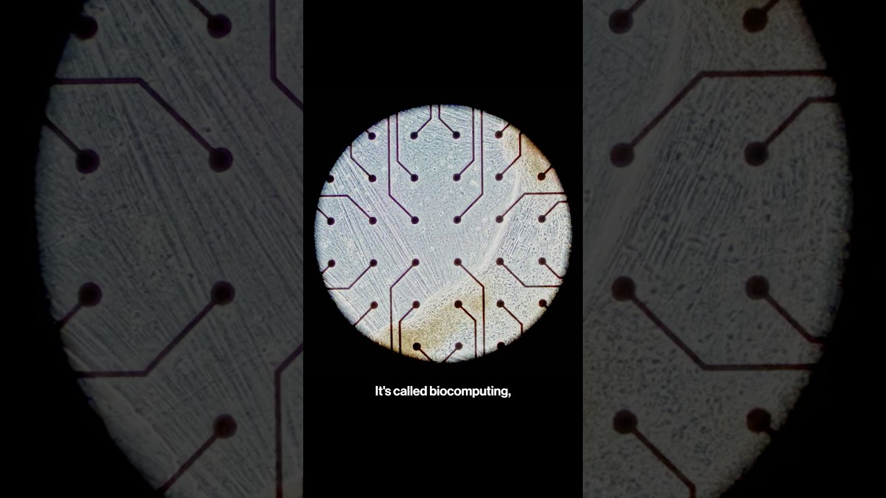 Human Brain Cells Power Next-Gen Computing Breakthroughs