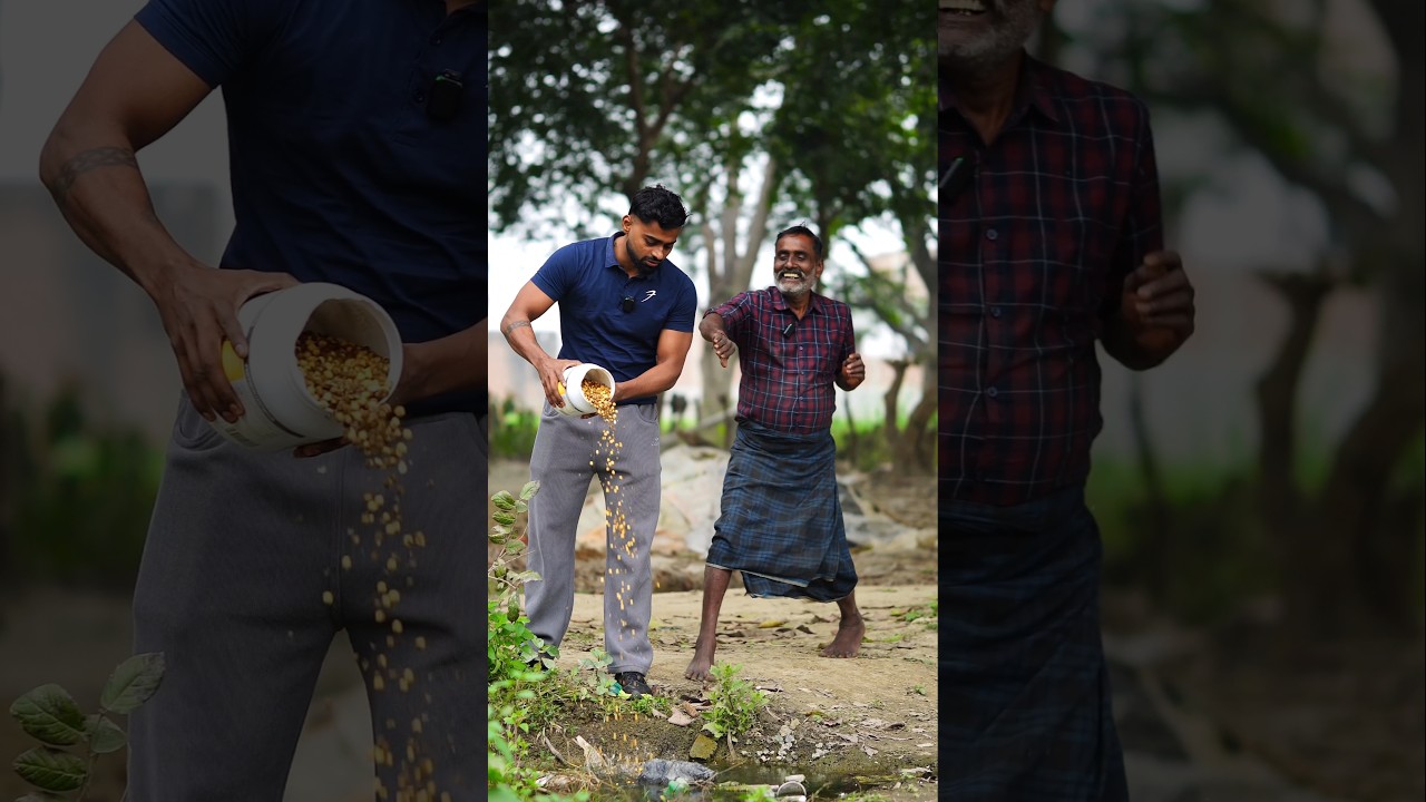 Toxic Roasted Chana Warning: Avoid Chemical Dyes in Chickpeas