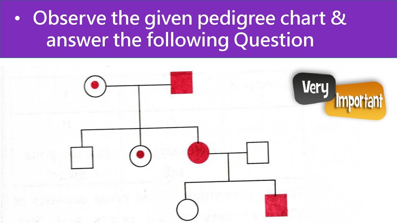 Master Pedigree Analysis: Decode Genetics Family Trees