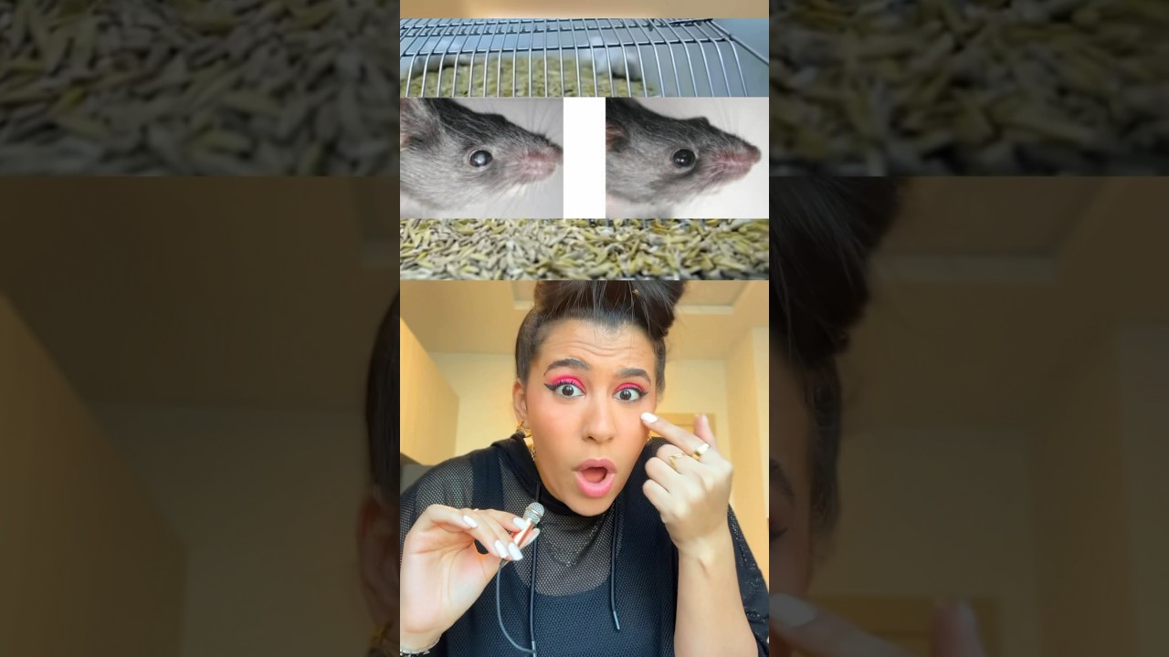 GX_P2V Virus Research: Key Facts and Expert Analysis