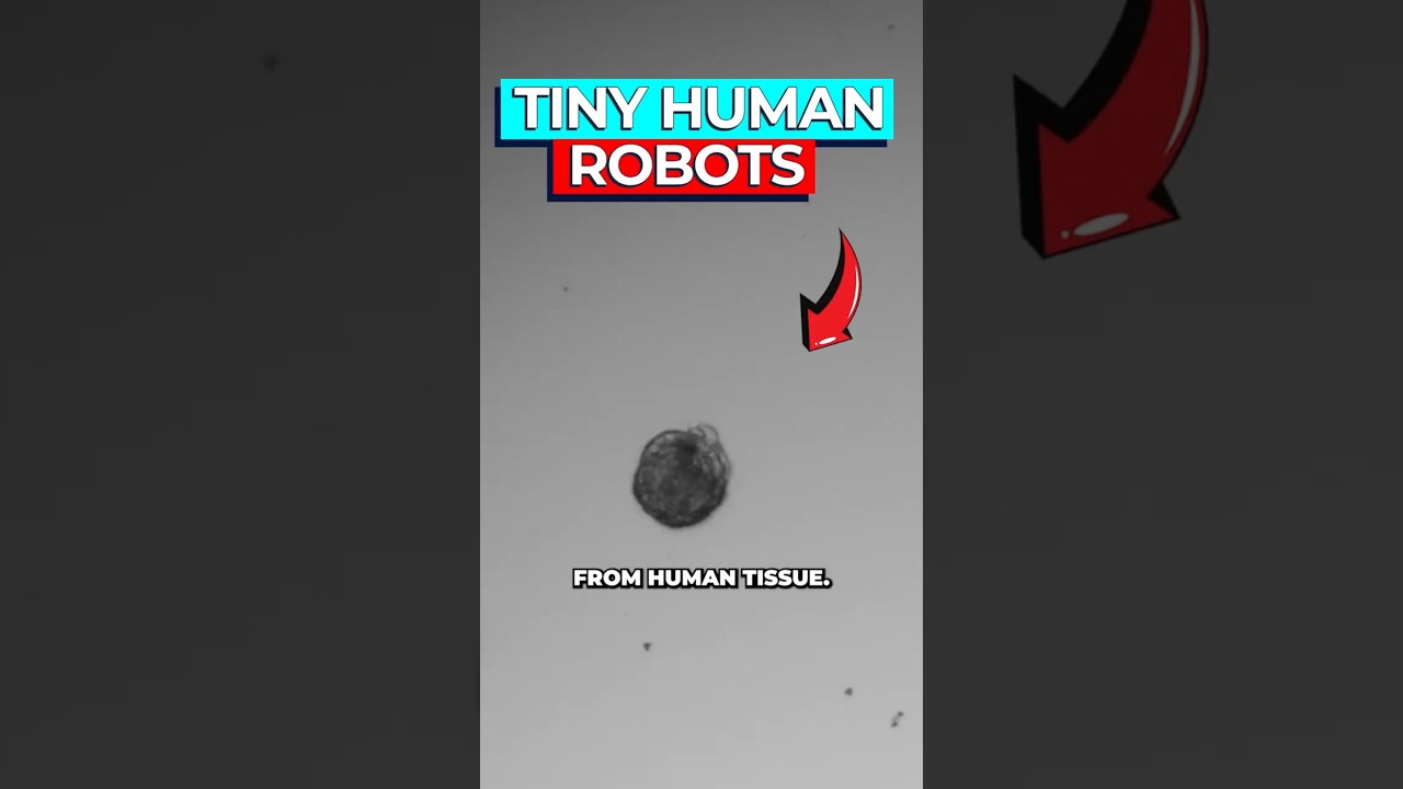 Tiny Human Cell Biobots: Medical Marvels Explained