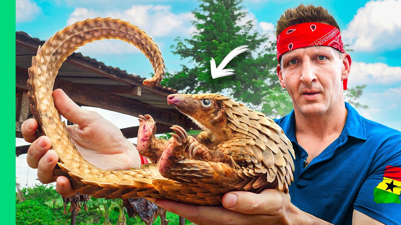 Ghana Bush Meat Culture: Tradition, Nutrition & Conservation